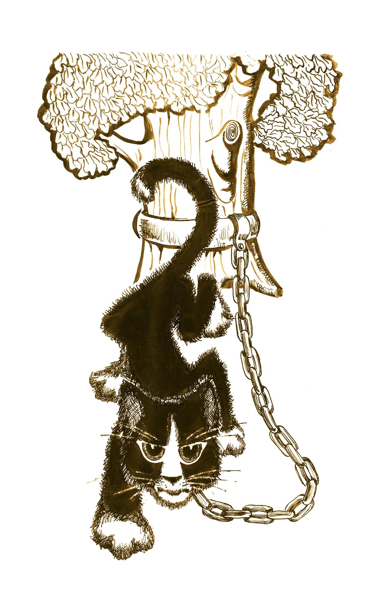 Кот